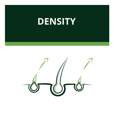 Luxéol Hair Density routine with shampoo and serum for visibly thicker, denser hair in 12 weeks*