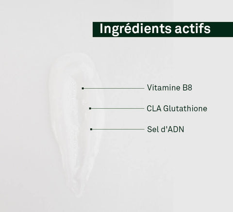 Active ingredients infographic for conditioner.