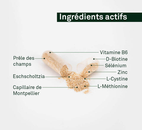 Active ingredients diagram: Montpellier capillary, eschscholtzia, horsetail, zinc, vitamin B6, biotin, selenium, L‑cystine, L‑methionine.