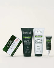 Plaukų tankio didinimo In & Out rutina